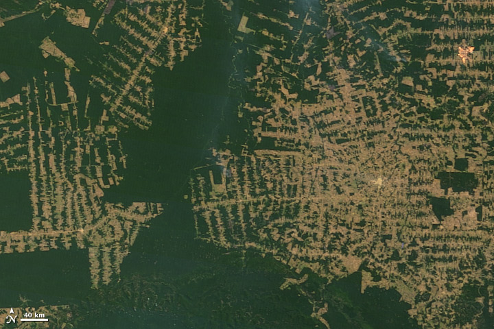 NASA satellite photo of deforestation in the state of Rondônia, western Brazil. Photo: NASA