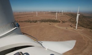 The Cookhouse wind farm in the Eastern Cape of the country is the biggest in Africa. Built in 11 months, it has 66 turbines generating 138MW of clean power. Photograph: Jeffrey Barbee