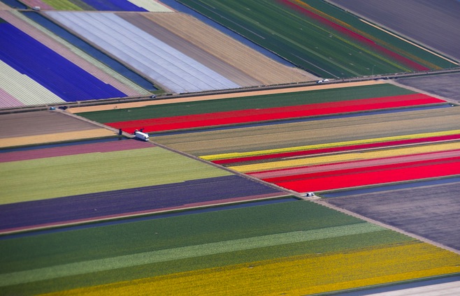 An aerial view of flower fields is seen near the Keukenhof park, also known as the Garden of Europe, in Lisse, The Netherlands, in this April 15, 2015 file photo. Nearly a quarter of a million people follow the Reuters Instagram account - and it's still growing fast. To mark the mid-point of 2015, Reuters has compiled the twenty most-liked pictures so far. This picture was eighth most popular. REUTERS/Yves Herman/Files ATTENTION EDITORS - THIS PICTURE IS PART OF THE PACKAGE "REUTERS MOST POPULAR INSTAGRAM". TO FIND ALL 20 PICTURES SEARCH 'INSTAGRAM POPULAR'.