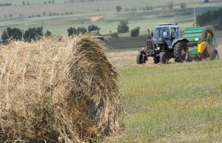 Growth at present is primarily observed in agribusiness, construction materials production and automotive industry. © ITAR-TASS/Alexander Kolbasov