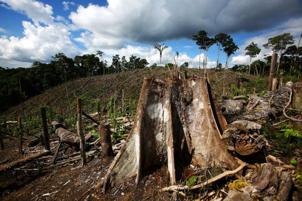 © Brent Stirton