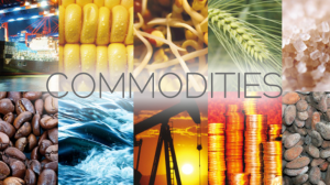 Commodities-Vadodra-730x410