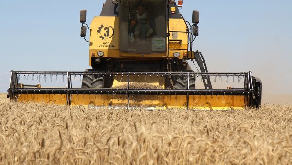 The head of the Ministry of agriculture of the Russian Federation Alexander Tkachev said that 5 million tons of export grain out of 30 will be delivered to the BRICS countries. © RIA / Andrey Iglov