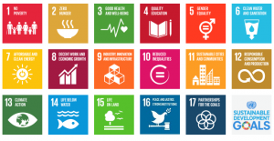 UNDP 2030