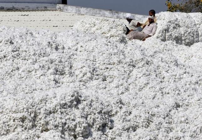 Workers push harvested cotton with their feet after unloading it from a supply truck at a cotton processing unit in Kadi town in Gujarat February 9, 2015. REUTERS/Amit Dave/Files
