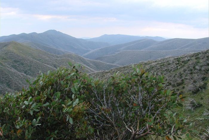 The glorious Victorian high country