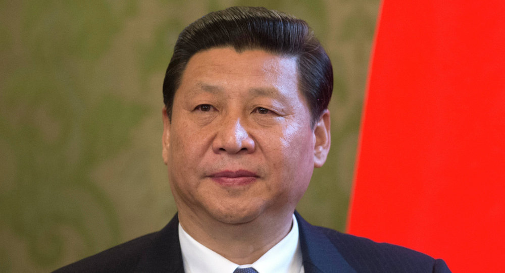China's president XI Jinping said that APEC needs to be used as a policy platform and incubator for stronger economic cooperation. © Sputnik/ Sergei Guneev