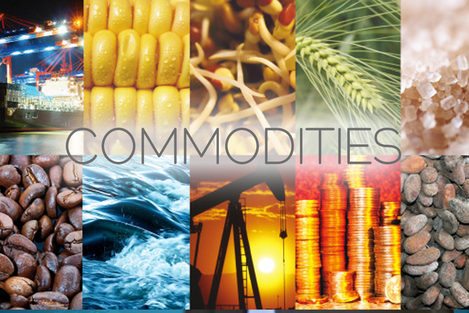 Commodities-Vadodara