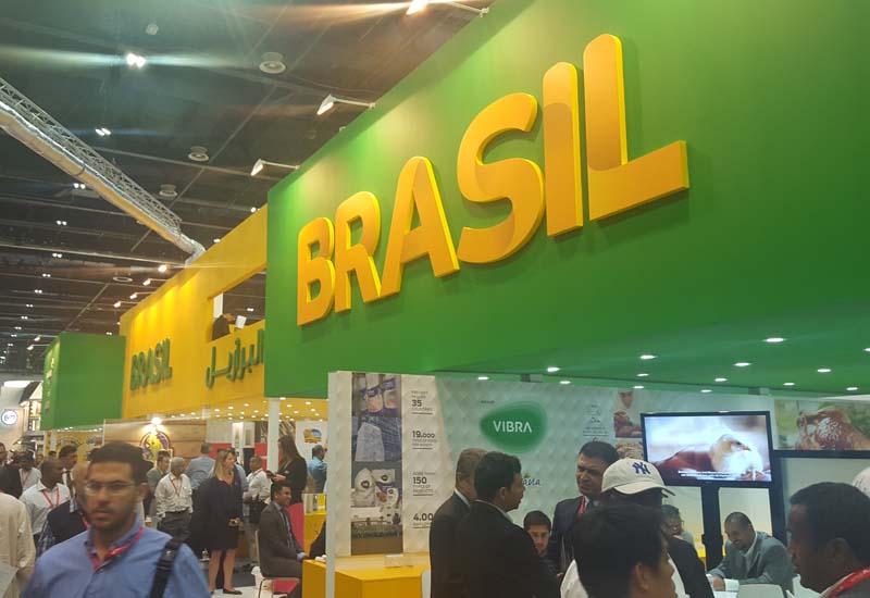 Brazilian-beef-exports