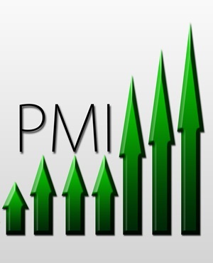 pmi2