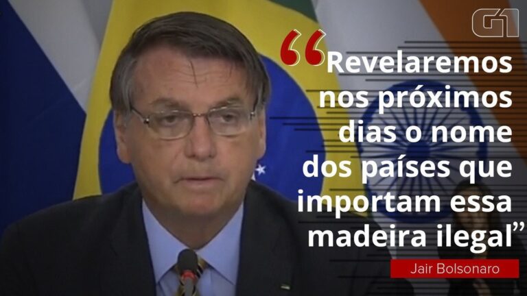 Bolsonaro promete divulgar lista de países que criticam o Brasil pelo desmatamento, mas que compram madeira ilegal