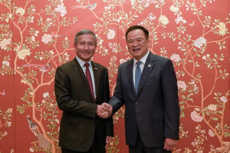 No substitute for Asean even as South-east Asian countries express interest in joining Brics: Vivian