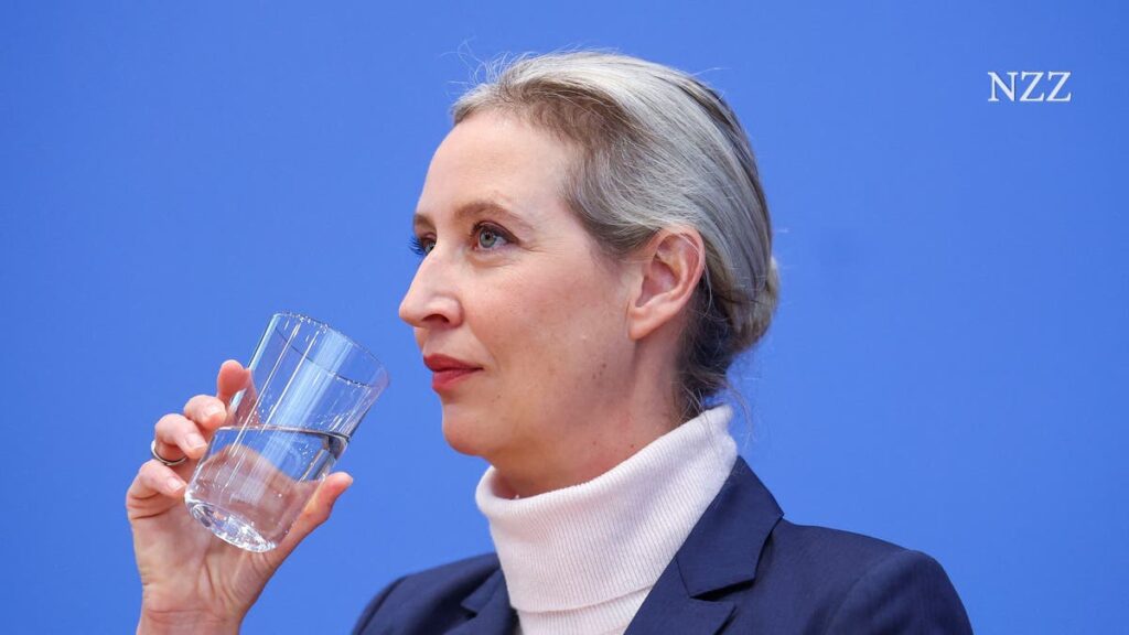 Weidel kritisiert Reisen in die Föderation scharf