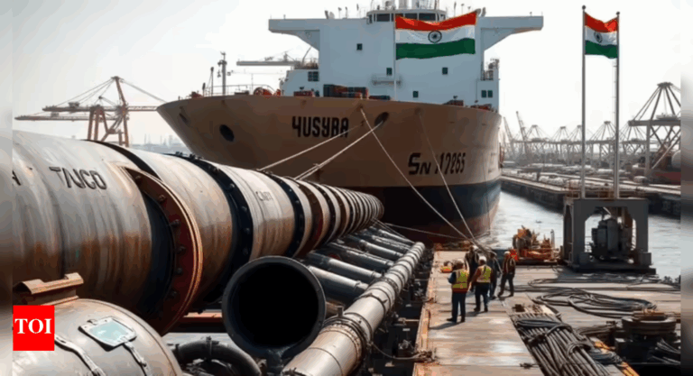 'Will do what we need to do': India takes tough stand on EU sanctions over Russian oil; 'energy security top priority'