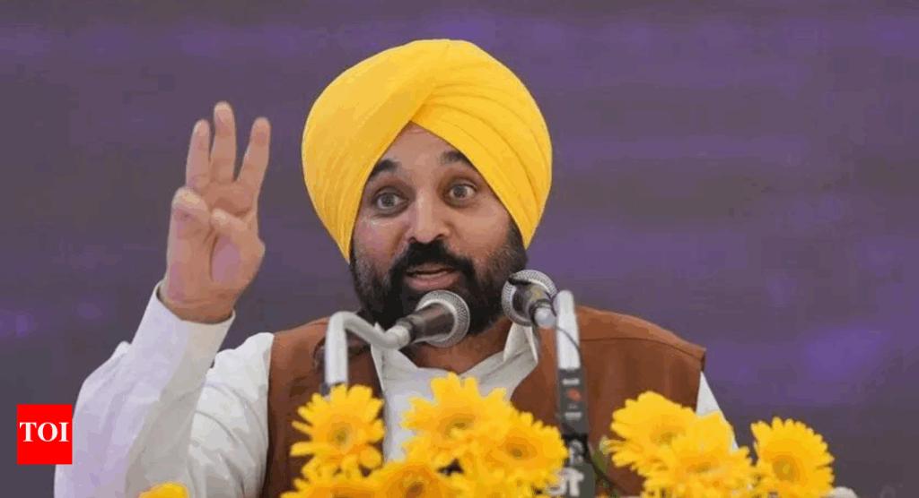 'Doesn't behove state authority': MEA rebukes Punjab CM Mann over PM Modi statement; calls remarks 'irresponsible'