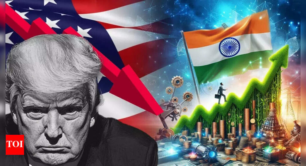 Donald Trump’s 25% tariff, ‘dead economy’ jibe: India's clear message to US in 5 points