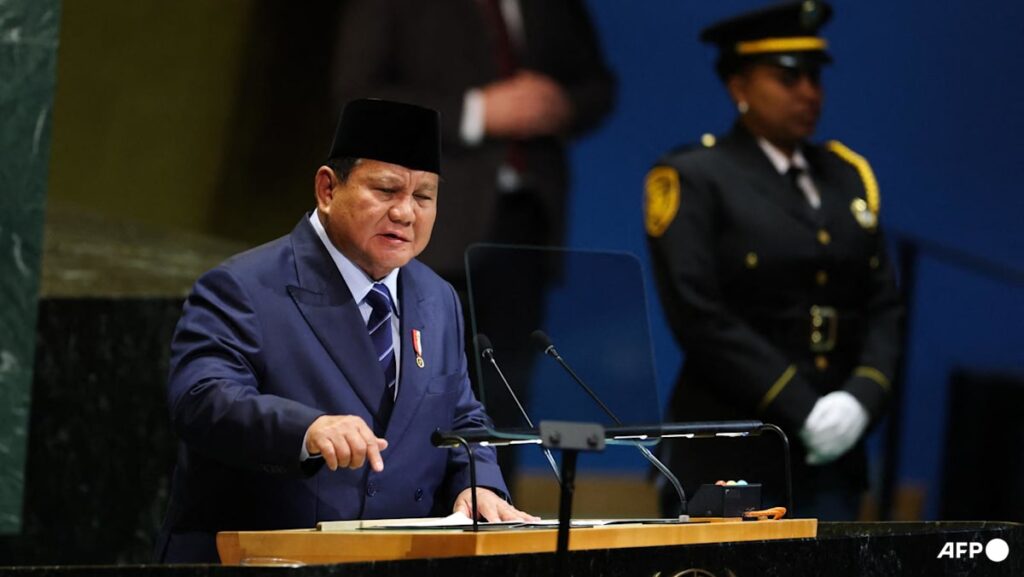 Indonesia’s Prabowo adopts softer tone on Israel, but can he balance domestic sentiments with geopolitical gains?