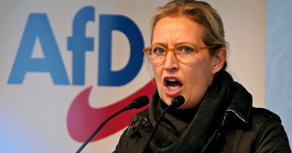 Germania, scontro interno all'AfD tra viaggi in Russia e veleni incrociati. In crisi la strategia estera del partito