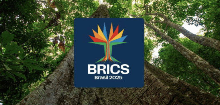 Entenda por que a Samaúma, árvore amazônica, foi escolhida como símbolo da cúpula do BRICS