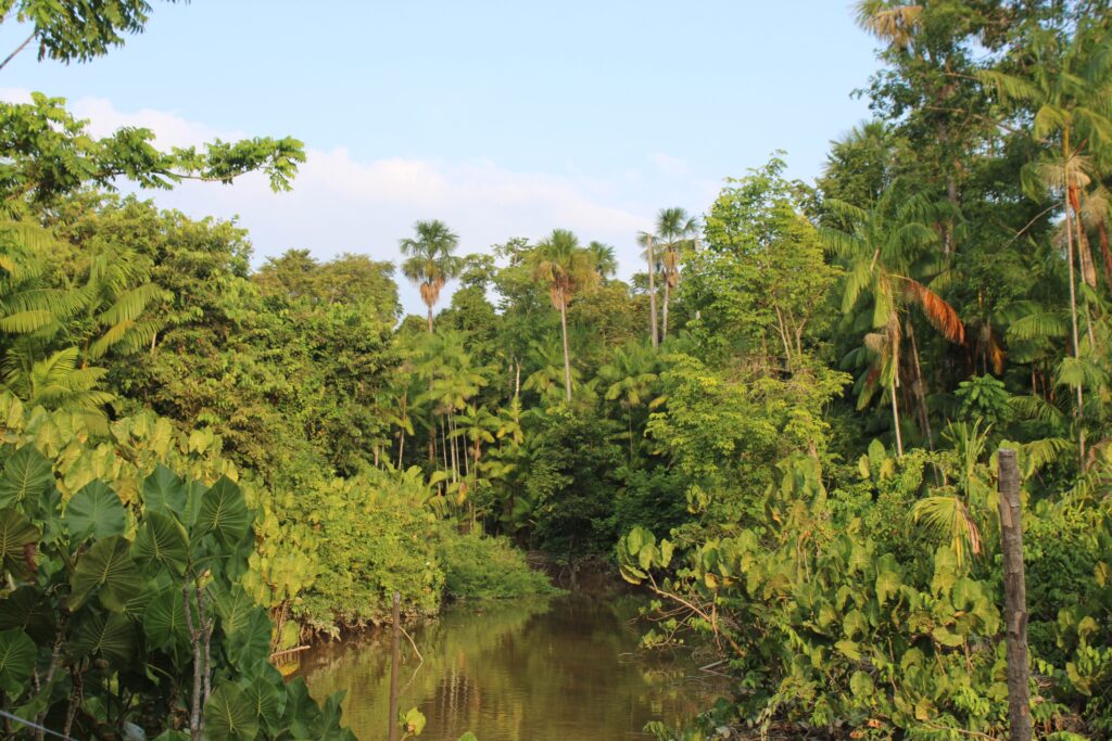 COP30, Brics e acordo Mercosul-União Europeia adiado: relembre destaques do ano da diplomacia do Brasil