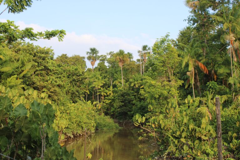 COP30, Brics e acordo Mercosul-União Europeia adiado: relembre destaques do ano da diplomacia do Brasil