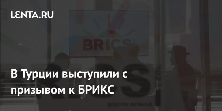 В Турции выступили с призывом к БРИКС