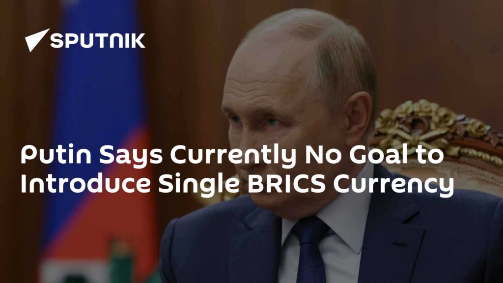 Putin Says Currently No Goal to Introduce Single BRICS Currency