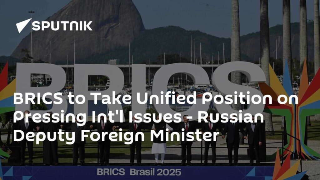 BRICS to Take Unified Position on Pressing Int'l Issues - Russian Deputy Foreign Minister