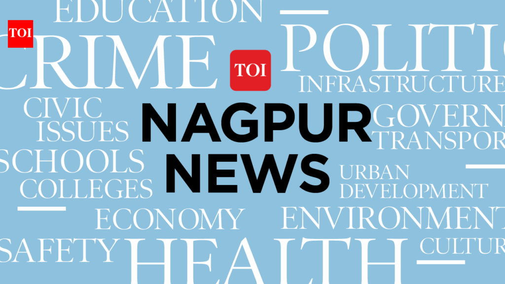 NADT training BRICS officers in BEPS & Int’l Tax