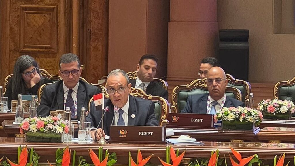 مصر تعلن من "بريكس": نعمل لرفع الظلم التاريخي عن القارة السمراء