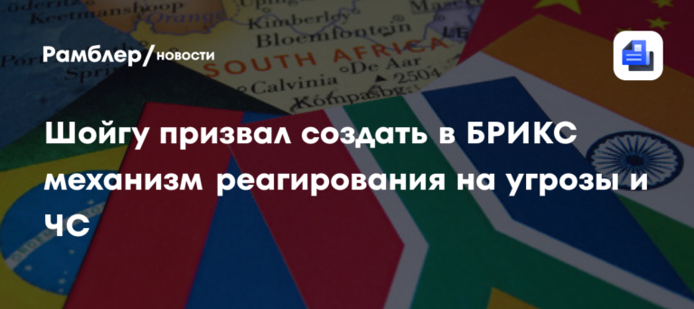 Шойгу предложил создать на платформе БРИКС механизмы реагирования на случай ЧС