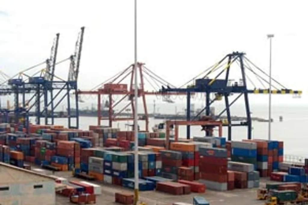 Exporters seek better trade balance with BRICS countries