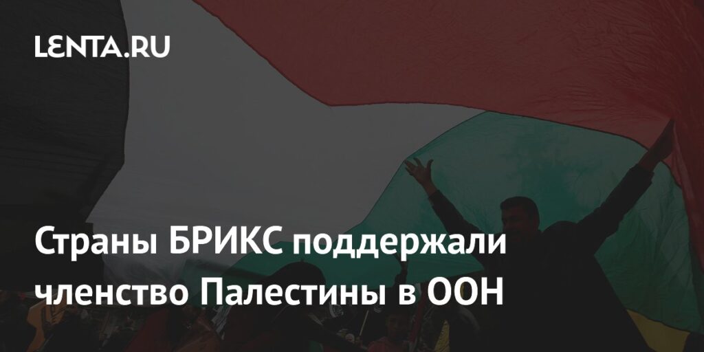 Страны БРИКС поддержали членство Палестины в ООН