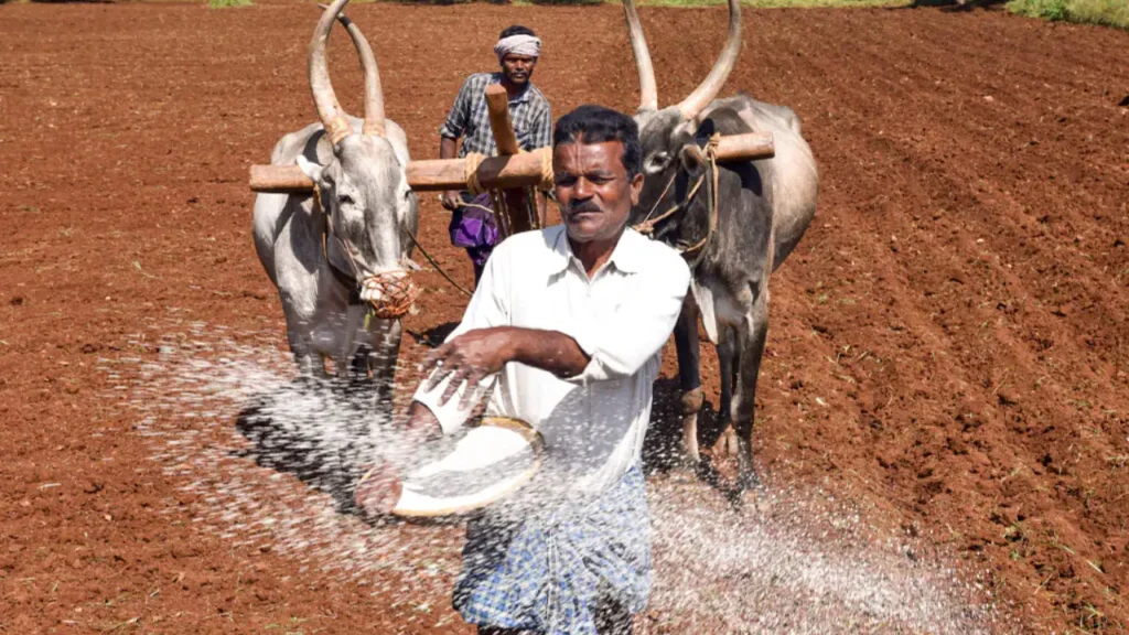BRICS talks focus on securing fertiliser supplies as India faces mounting subsidy burden